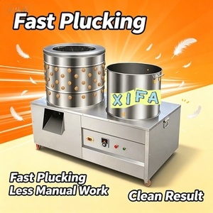 Desplumadora <span class=keywords><strong>de</strong></span> Plumas <span class=keywords><strong>de</strong></span> Pollo Económica |   Equipo Duradero para la Eliminación <span class=keywords><strong>de</strong></span> Plumas <span class=keywords><strong>de</strong></span> Aves <span class=keywords><strong>de</strong></span> Corral para Pequeñas Empresas - Product Image 4