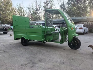 2025 nouveau Tricycle électrique corps ouvert voiture électrique à 3 roues avec facteur de sécurité élevé 48V tension - Product Image 2