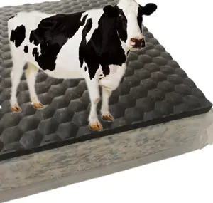 Hete Verkoop Koe Matras Met Rubber Mat En Spons Voor Vee Slaapbed/Melkkoe Slaapbed