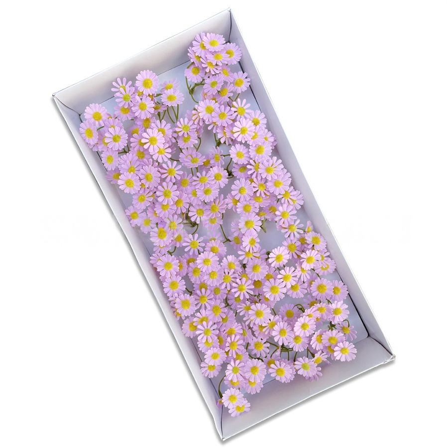 สีม่วงอ่อน