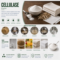 Enzim Selulase Endo-1,4-Beta-D-Glucanase, Preparasi Enzim Selulolitik, Hidrolisis Selulosa untuk Pulp dan Kertas