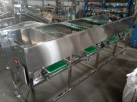 Knoflook sorteermachine, maatselectie fruit- en groentemachine, gatbandtype knoflook maatselectiemachine