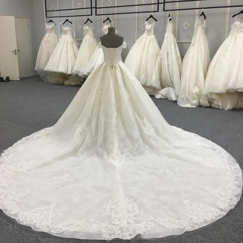 الفاخرة فستان زفاف بذيل طويل فستان زفاف 2019 WT345