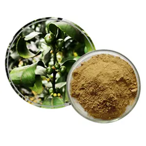 Dried Young Orange Extract Vitamin P Antioxidant Free Radical Elimination 15%-95% Citrus Bioflavonoid Complex Powder