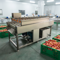 Fabrieks prijs machine voor het verwijderen van dornen van cactusvijgen, machine voor het wassen en reinigen van cactusvijgen, machine voor het ontdoornen van nopalvruchten