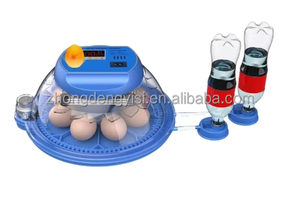 Incubadora de Doble Capacidad para Huevos, Máquina para Incubar Huevos, Lahore, Pakistán - Product Image 4