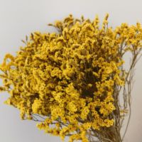 Grosir Statice Caspia bunga kering rumput Misty diawetkan Limonium laut Lavender Limonium bunga kering untuk acara dekorasi pernikahan