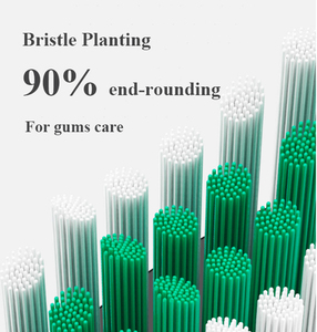 Chăm Sóc Vệ Sinh Bàn Chải Đánh Răng Điện Có Thể Sạc Lại Cho Coralrich Bàn Chải Cơ Thể Điện - Product Image 5