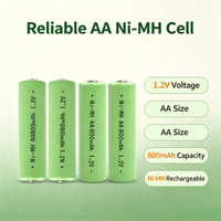 Batterie rechargeable Ni-MH 1,2 V AA 800 mAh à faible autodécharge pour l'électronique grand public, jouets, lampes de poche – Vente en gros OEM