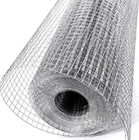 Rouleau de grillage soudé galvanisé durable, filet en acier facile à découper pour clôture de jardin, cage à lapins, protection des légumes contre les parasites