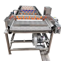Vers Fruit Mango Appel Reinigingsmachine Luchtbel Groentewasmachine Bubbel Wasmachine