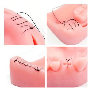 Almohadilla <span class=keywords><strong>de</strong></span> sutura <span class=keywords><strong>de</strong></span> entrenamiento dental OEM, modelo <span class=keywords><strong>de</strong></span> goma personalizable para instituciones médicas - Product Image 5