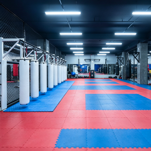 Soporte de pared para saco de boxeo y barra de dominadas para gimnasios comerciales, <span class=keywords><strong>en</strong></span> <span class=keywords><strong>venta</strong></span> con colores personalizados - Product Image 6