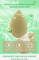JLY OEM Plantpoeder Geïnfuseerde Fruit- en Groente-geïnspireerde Kleur Make-up Spons Set Zachte Blender Collectie