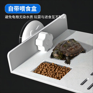 Plateforme de baignade pour tortues avec plateau d'alimentation en PP, installation facile pour habitat aquatique - Product Image 1