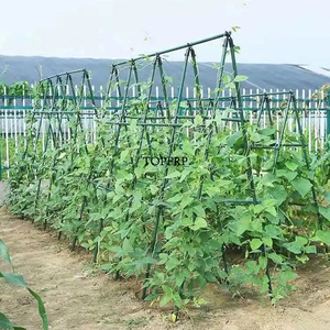 Piquets de jardin en métal recouverts de plastique vert pour soutenir les arbustes, les légumes et les plantes grimpantes - Product Image 6