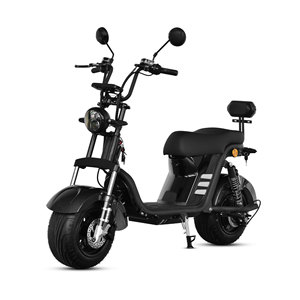 Bicicletta <span class=keywords><strong>Elettrica</strong></span> Mini Sicura con Freni a Disco Anteriori/Posterioresi a Tamburo, Ruote da 10 Pollici, Batteria agli Ioni di Litio Senza Spazzole, per Anziani e Adulti - Product Image 1