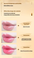 Best-seller 2025 Rouge à lèvres lissant Hot Selling Flower Crystal Gold Foil Color Change Lipstick