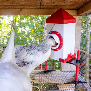 Yyc bricolage mangeoire à poulet seau mangeoire à volaille et abreuvoir pour poulet poussin canard oie caille - Product Image 6