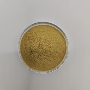 Polvo labial <span class=keywords><strong>de</strong></span> mejillón verde puro <span class=keywords><strong>natural</strong></span> <span class=keywords><strong>de</strong></span> grado alimenticio 99% - Product Image 3