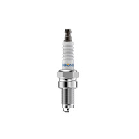 Remplace NGK 4929/DPR8EA-9 5829/DP8EA-9 2120/D8EA 7162/DR8EA pour TORCH D8TC D8RTC ou Autolite 4163 XS4163