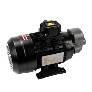 Pompe à engrenages hydraulique pneumatique Dde Dade 380V triphasée, corps en fonte, débit de 11 Lpm - Product Image 1
