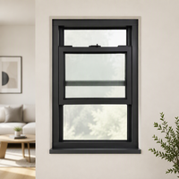 Fenêtre en verre de section supérieure de haute qualité Lite Line Direct avec hauteur de bande personnalisée pour mur avant de chambre d'hôtel