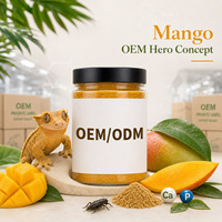 Reptielen Fruit Smaak Insectenpoeder Gekko Kleine Hagedis Zachte Pasta Aangepaste Formule Privélabel Fabrieksdirect Bulk Supplementen