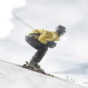 Custom Ski Pole Fabrikant, Populaire Verwarmde Ski Pole Grip