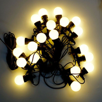 Bombilla LED Inteligente G50 con Cambio de Color RGB, IP68, para Jardín, Camino, Carpa, Decoración de Fiestas, Bajo Voltaje DC12V 1W