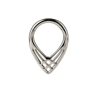 Bagues segmentées en titane G23 et zircon, style punk, pour piercing professionnel du nez, certifiées ISO, fournisseur direct d'usine