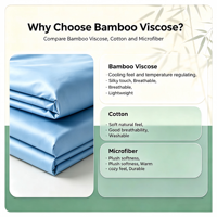 Ensemble de housse de couette en bambou bio écologique avec draps de lit, 300 fils, utilisable toute l'année