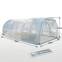 Serre agricole 6x3m avec couverture en PE robuste et structure en acier, pour l'extérieur, idéale pour les légumes, les plantes et les fleurs