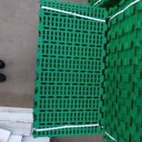 Nouveau plancher à lattes en plastique 100*50cm pour enclos à moutons, plancher à lattes en plastique PP de haute qualité pour élevage de chèvres avec 1 an de garantie