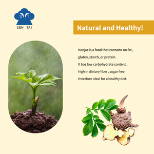 Nouilles de konjac séchées saveur originale, shirataki naturel, faible en calories, faible en glucides, sans sucre, sans matières grasses, sans gluten, non OGM - Product Image 2