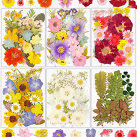 Fleurs séchées pressées mélangées, spécimens végétaux naturels plats pour résine, boucles d'oreilles, porte-clés, moules, maquillage, séances photo, salon de manucure, artisanat DIY
