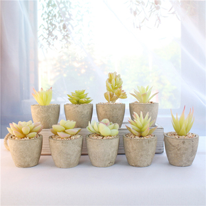 Mini Suculenta Artificial en Maceta de Papel Gris con Componentes de Plástico para Decoración de Interiores/Exteriores, Hogar u Oficina (Color Personalizable) - Product Image 3