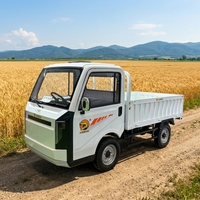 Petits véhicules électriques à quatre roues adaptés au transport de marchandises dans les fermes et les entrepôts