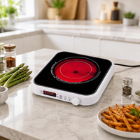 Cuisinière infrarouge électrique multifonction 2200W avec commande tactile et bouton rotatif, OEM/ODM, un brûleur, pour comptoir domestique, fabricant