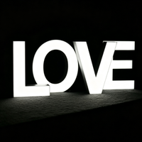 Enseigne 3D personnalisée en acier inoxydable avec lettres LED rétroéclairées, entièrement illuminée, pour mariages, cafés, entreprises, publicité, étanche IP65, contrôlable par application
