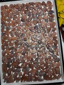 Piedra Preciosa de Sunstone Natural con Efecto Sangre |   Auténtico Cabujón de Piedra Solar con Efecto Sangre |   Piedra semipreciosa suelta para la fabricación de joyas - Product Image 1