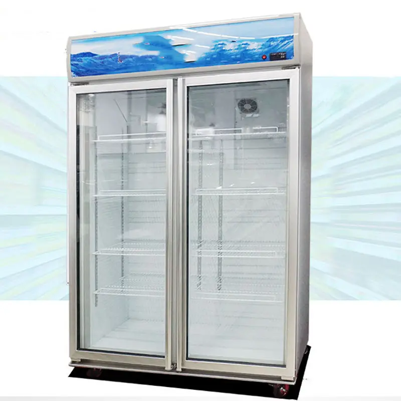 Стеклянная дверная демонстрация, автоматическая двухдверная витрина из нержавеющей стали, холодильники, холодильники для хранения в холодильнике