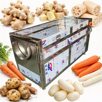 Industrieel 	 Aardappel wassen en schillen 	 Aardappel Schil- en Wasmachine 	 Elektrische fruit- en groenteschiller