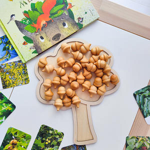 Монтессори, натуральный сенсорный весенний игровой лоток, настольные игрушки, детские цветочные деревянные сенсорные игрушки, обучающие игрушки - Product Image 4