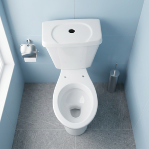 Modern Ceramic Two Piece Close Coupled Water Closet Toilet P Trap Washdown <b>Back</b> To Wall Floor Mounted WC - Product Image 5