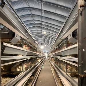 Grande <span class=keywords><strong>serre</strong></span> d'élevage de poulets à double couche <span class=keywords><strong>en</strong></span> PE avec structure <span class=keywords><strong>en</strong></span> acier galvanisé à chaud - Product Image 3