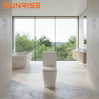 WC en céramique sans rebord, style moderne de luxe, double chasse, deux pièces, à poser au sol, garantie 5 ans, pour toilettes commerciales