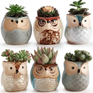 Eulen topf Keramik Bonsai Töpfe Kaktus <span class=keywords><strong>Blumentopf</strong></span> mit einem Loch Perfekte Geschenk idee 6 im Set - Product Image 2