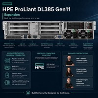 Nouveau serveur rack 2U HPE ProLiant DL385 Gen11, double processeur AMD EPYC 9124, 4*64 Go de RAM DDR5, PCIe 5.0, serveur de calcul IA et de base de données
