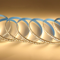 Bande LED SMD 2835 d'usine, 12V 24V, flexible, haute luminosité, éclairage décoratif, blanc chaud, haute luminosité, Luces 2835 LED Strip
